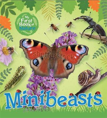 My First Book of Nature: Minibeasts on Hardback by Victoria Munson