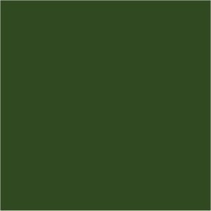 Citadel Base: Castellan Green image