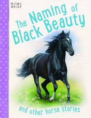 Naming Of Black Beauty by Miles Kelly image