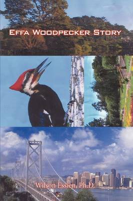 Effa Woodpecker Story on Hardback by Ph.D. Wilson Essien