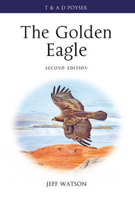 The Golden Eagle by Jeff Watson image