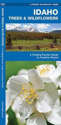 Idaho Trees & Wildflowers: An Introduction to Familiar Species by James Kavanagh image