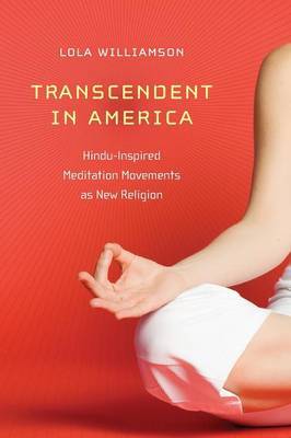 Transcendent in America by Lola Williamson image