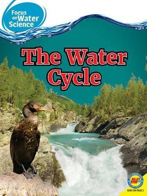 The Water Cycle image