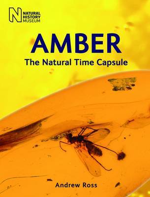 Amber by Andrew Ross image
