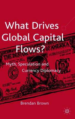 What Drives Global Capital Flows? by B. Brown image