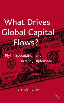 What Drives Global Capital Flows? image