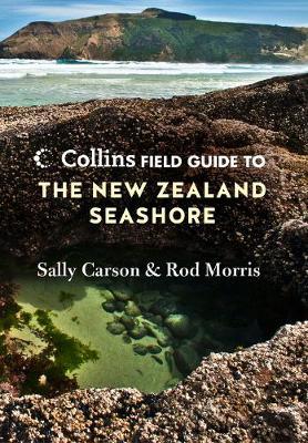 Collins Field Guide to the New Zealand Seashore by Sally Carson image