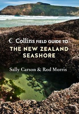 Collins Field Guide to the New Zealand Seashore by Sally Carson