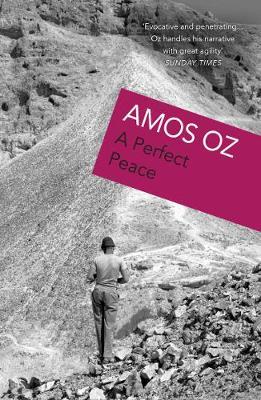 A Perfect Peace by Amos Oz image