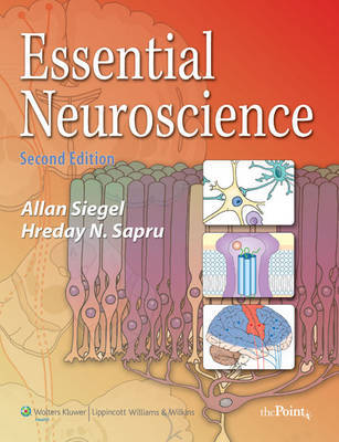 Essential Neuroscience by Allan Siegel image