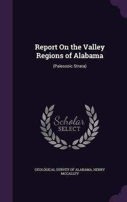 Report on the Valley Regions of Alabama image