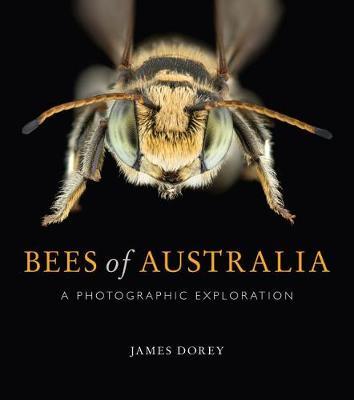 Bees of Australia by James Dorey image