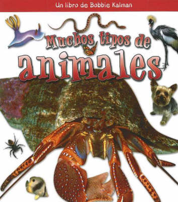 Muchos Tipos de Animales (Many Kinds of Animals) on Hardback by Bobbie Kalman