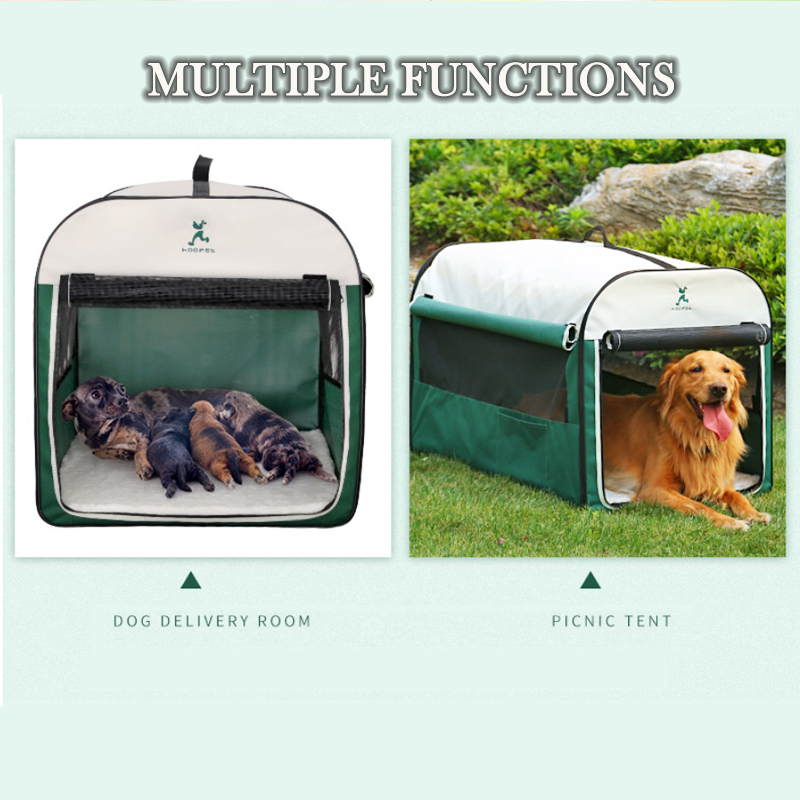Buy Ape Basics Portable & Foldable Dog Kennel Medium at Mighty Ape NZ