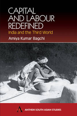 Capital and Labour Redefined on Hardback by Amiya Kumar Bagchi