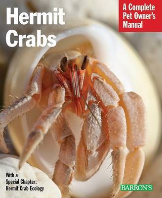 Hermit Crabs by Sue Fox image