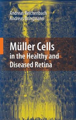 Muller Cells in the Healthy and Diseased Retina by Andreas Reichenbach image
