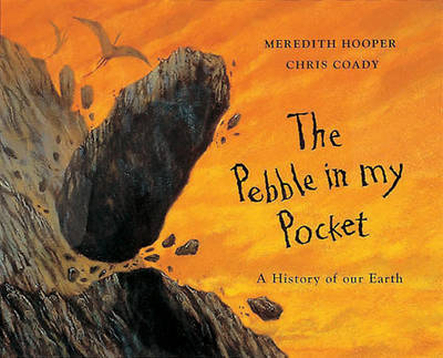 The Pebble in my Pocket by Meredith Hooper image