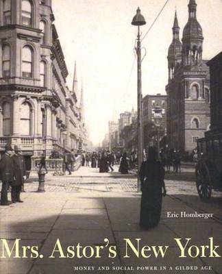 Mrs. Astor's New York by Eric Homberger image