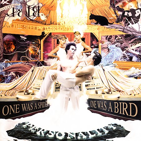 Personality: One Was A Spider One Was A Bird by The Sleepy Jackson image