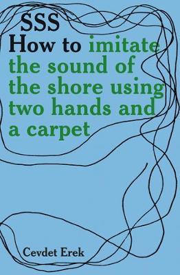 SSS How To Imitate The Sound Of The Shore Using Two Hands And A Carpet. Cevdet Erek by Cevdet Erek image