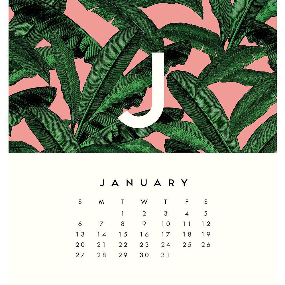 Alice Scott: 2019 Desk Calendar image