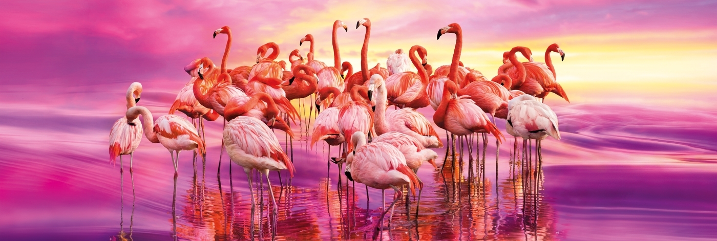 Clementoni Panorama: 1000-Piece Puzzle - Flamingo Dance image