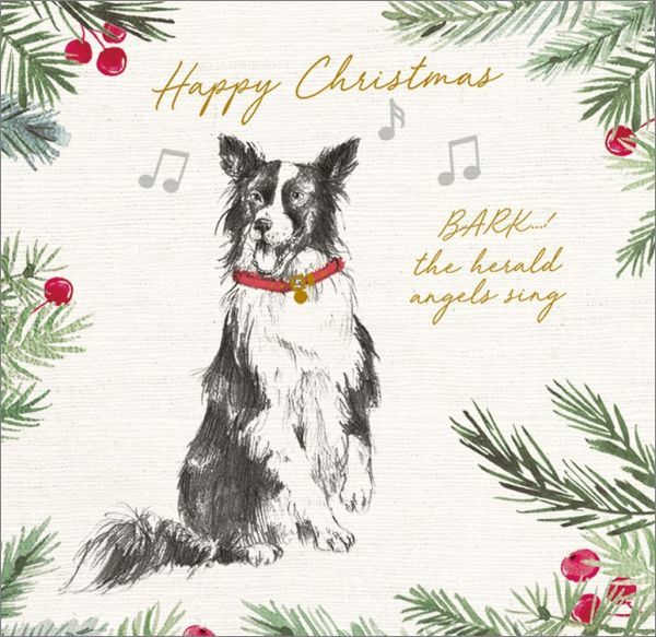 Art Marketing: Boxed Christmas Cards - Bark The Herald image