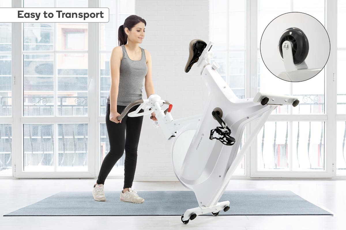 fortis magnetic spin bike