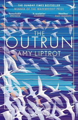 The Outrun by Amy Liptrot image