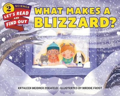 What Makes a Blizzard? by Kathleen Weidner Zoehfeld image