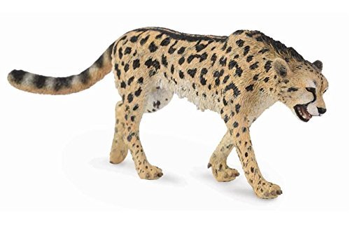 CollectA - King Cheetah