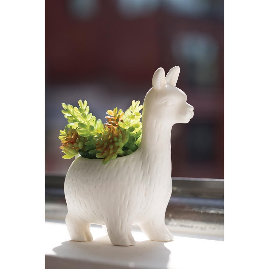 Kikkerland: Lloyd the Llama Planter