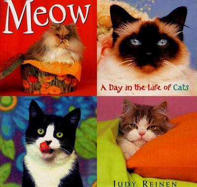 Meow a Day in the Life of Cats by Reinen image