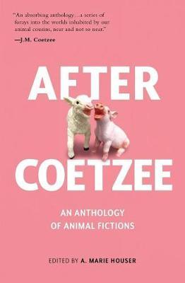 After Coetzee by Sixteen Remarkable Authors image