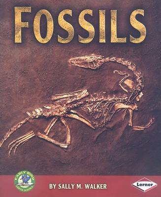 Fossils by Sally Walker image