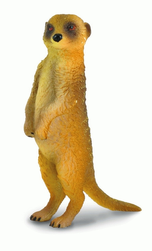 CollectA - Meerkat: Standing image