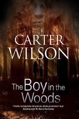 The Boy in the Woods by Carter Wilson image