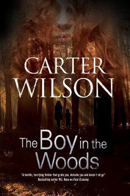 The Boy in the Woods image