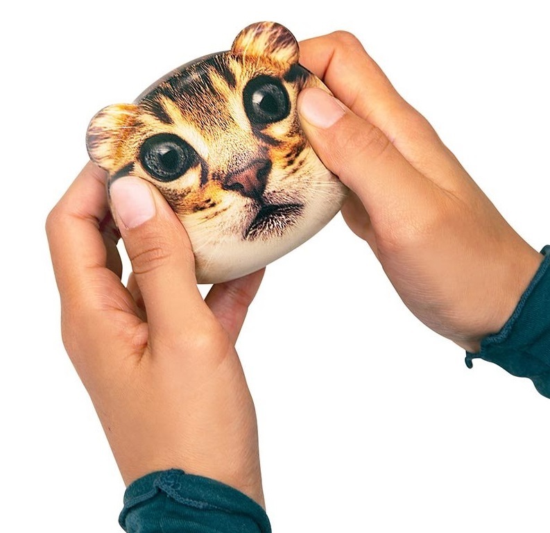 Buy Feeling Ruff? Cat Stress Ball at Mighty Ape Australia