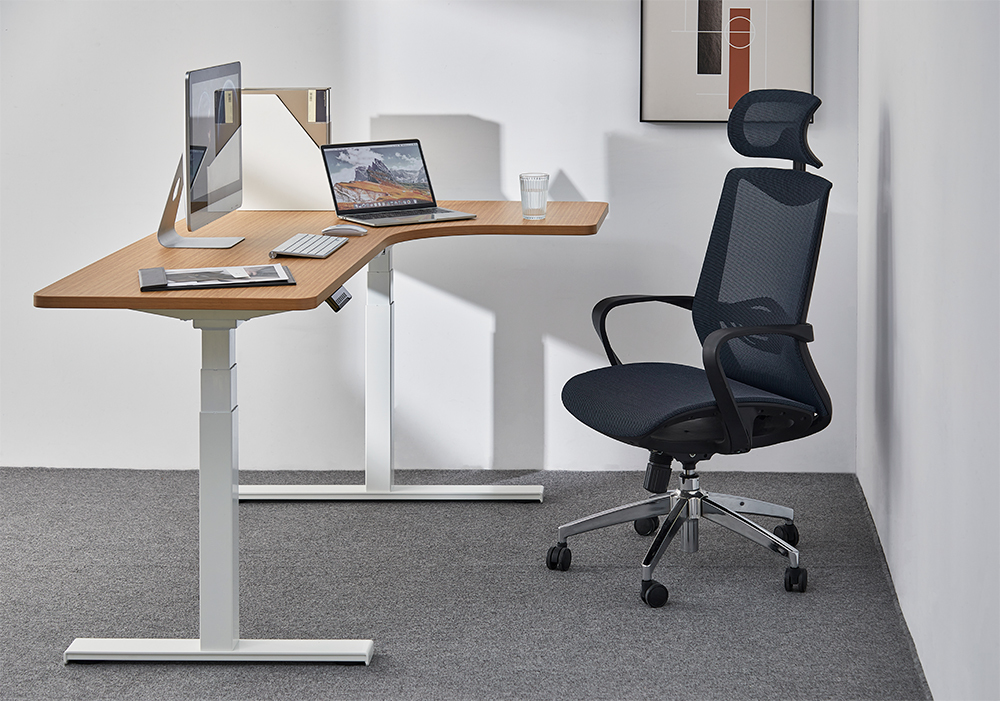Buy Gorilla Office Height Adjustable Desk White/Oak at Mighty Ape NZ