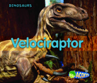 Velociraptor by Daniel Nunn image