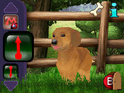 My Best Friends - Cats & Dogs for Nintendo DS image
