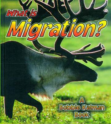 What is Migration? by John Crossingham image