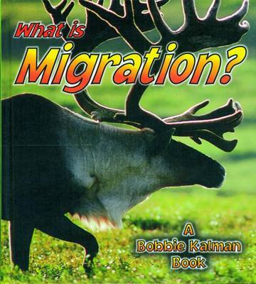 What is Migration? image