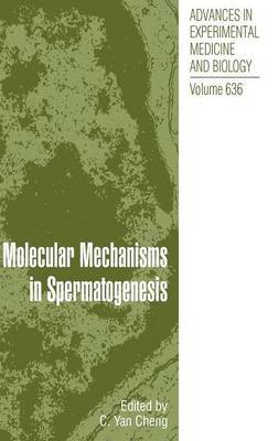 Molecular Mechanisms in Spermatogenesis on Hardback