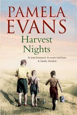 Harvest Nights by Pamela Evans image