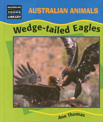 Wedge-Tailed Eagles by Ann Thomas image