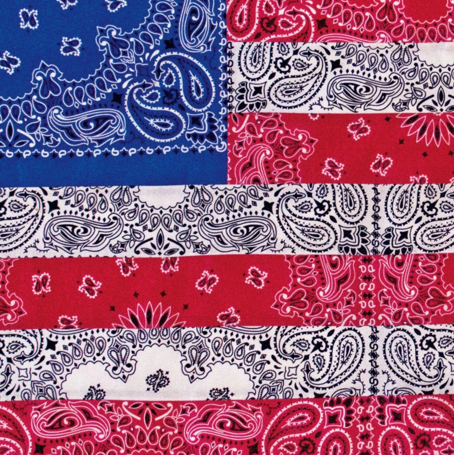 All American Bada$$ by Joey Bada$$ image